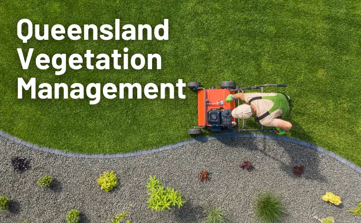 Queensland Vegetation Management
